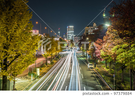 《Aichi Prefecture》Nagoya Cityscape Night view of Wakamiya Odori in Naka Ward in yellow leaves 《Aichi Prefecture》Nagoya Cityscape Night view of Wakamiya Odori in Naka Ward in yellow leaves 97379884