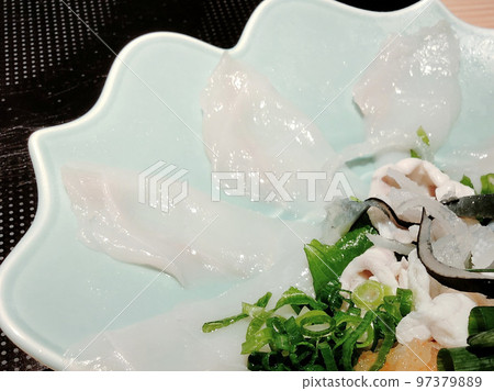 Close-up of blowfish sashimi on a plate Close-up of blowfish sashimi on a plate 97379889