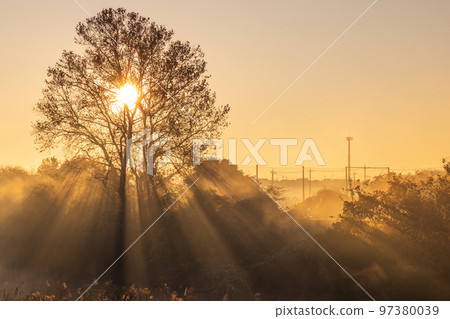 "Saitama Prefecture" Beautiful morning mist scenery of Minuma rice field 97380039