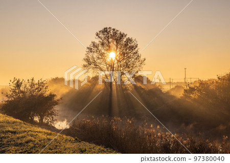 "Saitama Prefecture" Beautiful morning mist scenery of Minuma rice field "Saitama Prefecture" Beautiful morning mist scenery of Minuma rice field 97380040
