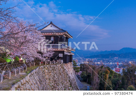 （愛媛縣）松山城夜櫻花黃昏 97380474