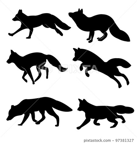 silhouette, fox, animal 97381327