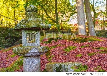 Former Chikurin-in Japanese garden Autumn leaves season (Sakamoto, Otsu City, Shiga Prefecture) 97381495