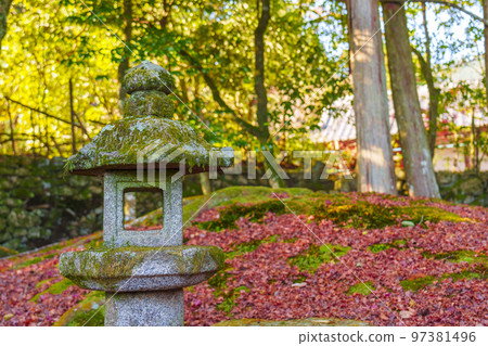 Former Chikurin-in Japanese garden Autumn leaves season (Sakamoto, Otsu City, Shiga Prefecture) 97381496