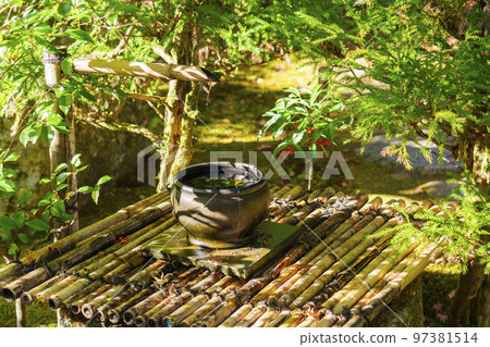 Former Chikurin-in garden, autumn foliage season (Sakamoto, Otsu City, Shiga Prefecture) 97381514