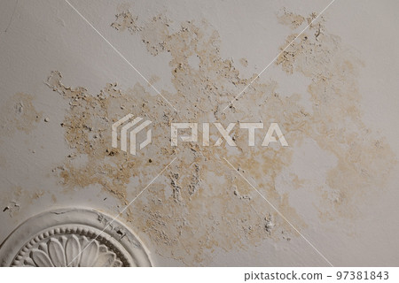 Flooding rainwater, causing damage, peeling paint and mildew. 97381843
