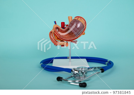 mockup stomach and stethoscope lies on a blue background 97381845