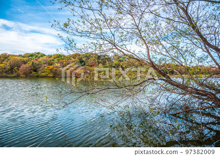 《愛知縣》尾張旭市秋季愛知縣立森林公園 97382009