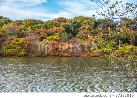 《愛知縣》尾張旭市秋季愛知縣立森林公園 97382010