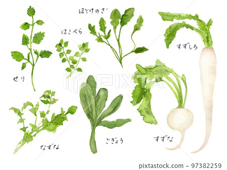 Seven spring herbs, porridge with seven herbs, hand-painted watercolor illustration 97382259