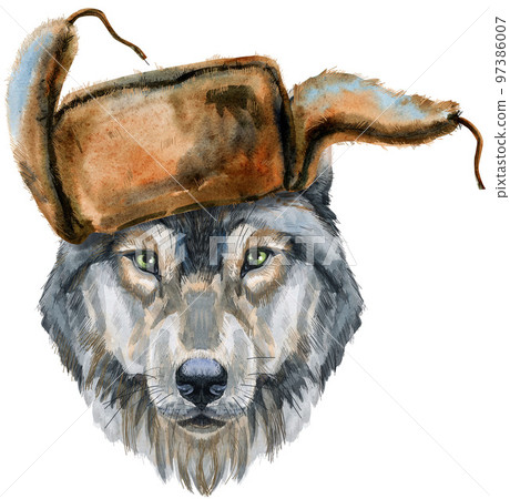 Wolf head in hat. Watercolor wolf painting illustration isolated on white background Wolf head in hat. Watercolor wolf painting illustration isolated on white background 97386007
