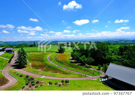 夏季的北海道美瑛町“北星之丘觀察公園” 夏季的北海道美瑛町“北星之丘觀察公園” 97387767