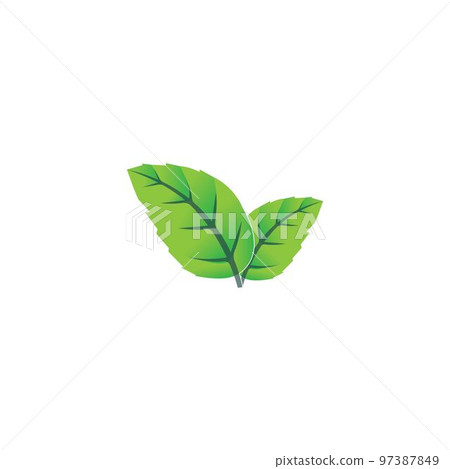 green leaf icon green leaf icon 97387849