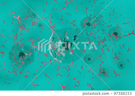 Image of plasma cells producing antibodies 97388153