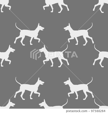 Seamless pattern. Walking mexican hairless dog. 97388264