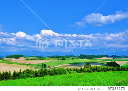 清新夏日北海道美瑛之丘 清新夏日北海道美瑛之丘 97388275