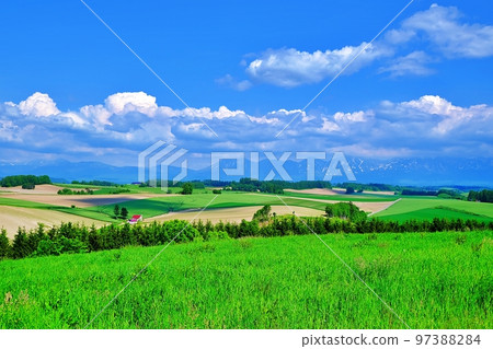 Refreshing Summer Hokkaido Biei Hills Refreshing Summer Hokkaido Biei Hills 97388284