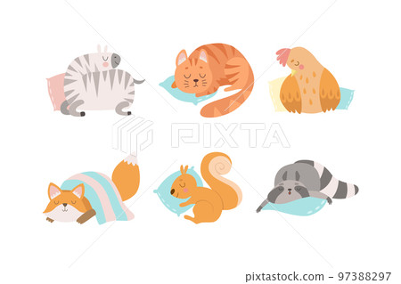 Cute Sleeping Animals Lying on Pillow Having Bedtime Rest Vector Set 97388297