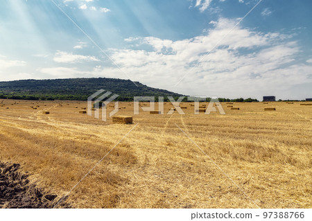 Hay bales Hay bales 97388766