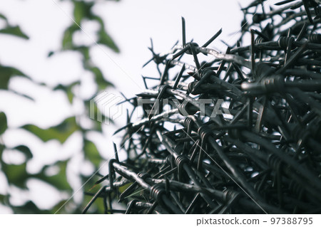 bay of old barbed wire. Barbed wire. Barbed wire to feel worrying. bay of old barbed wire. Barbed wire. Barbed wire to feel worrying. 97388795