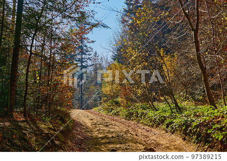 Mountain dirt country road in bright multi colored autumn colors in the sun Mountain dirt country road in bright multi colored autumn colors in the sun 97389215