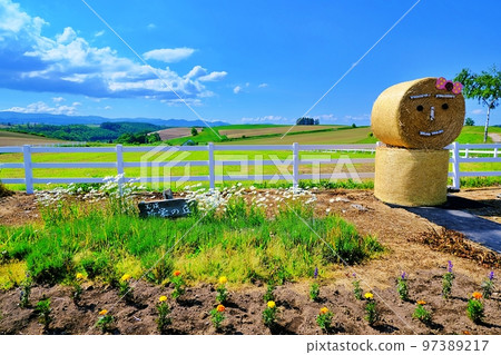 清新夏日的北海道美瑛町新榮之丘展望台公園 清新夏日的北海道美瑛町新榮之丘展望台公園 97389217