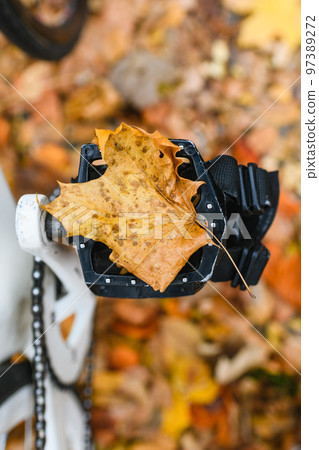 Autumn leaf at bicycle pedal close up 97389272