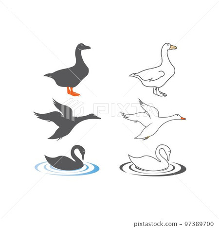 swan logo 97389700