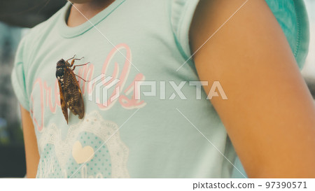 younger, girl, females 97390571