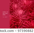 Viva magenta color of the year 2023. 97390882