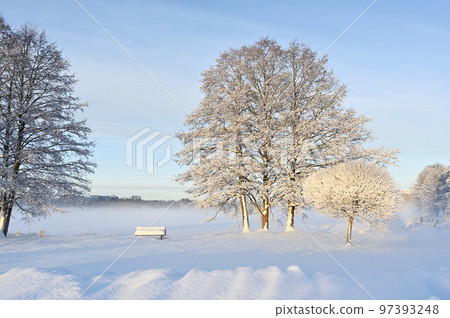beautiful winter landscape in the park on a sunny day 97393248