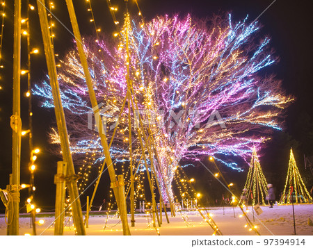 Nagaoka Echigo Kyuryo Park Illumination Nagaoka Echigo Kyuryo Park Illumination 97394914