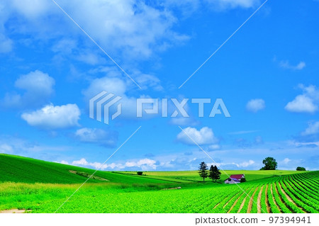 北海道美瑛的藍天和丘陵（紅色屋頂的丘陵） 97394941