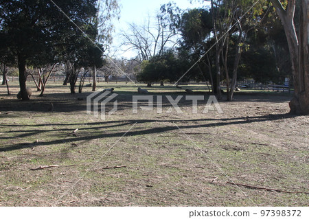 California farm California farm 97398372