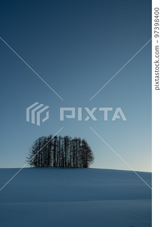 Larch forest in the evening twilight winter Mikasa town 97398400