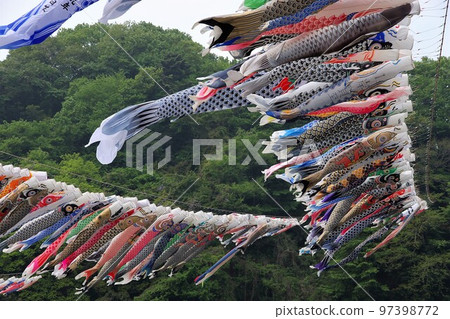 Village revitalization Festival decorations that have been expelled from duty Swimming carp streamers 13 Village revitalization Festival decorations that have been expelled from duty Swimming carp streamers 13 97398772