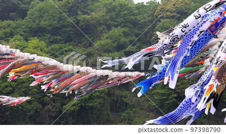 被免職的鄉村振興節裝飾品 遊鯉魚旗 4 被免職的鄉村振興節裝飾品 遊鯉魚旗 4 97398790
