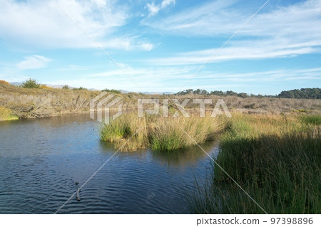 Beaches, marshes and cliffs at San Simeon California Beaches, marshes and cliffs at San Simeon California 97398896