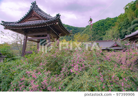 香川縣西明寺 香川縣西明寺 97399906