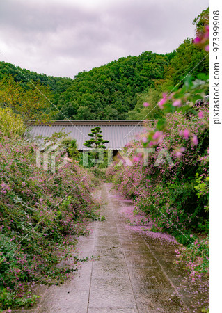 香川縣西明寺 香川縣西明寺 97399908