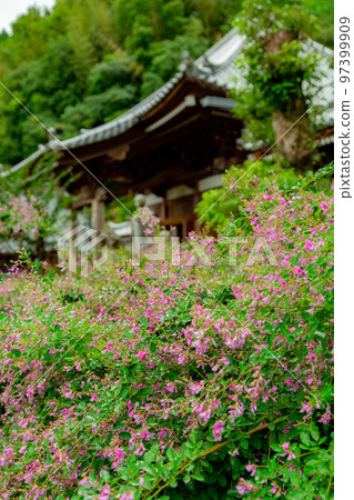 香川縣西明寺 香川縣西明寺 97399909