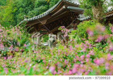 香川縣西明寺 香川縣西明寺 97399910