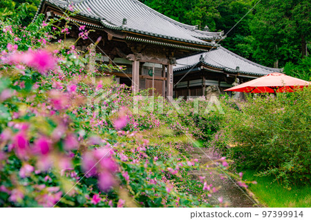 香川縣西明寺 97399914