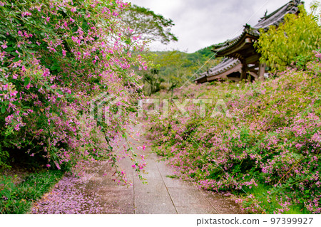 香川縣西明寺 香川縣西明寺 97399927