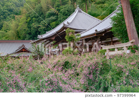 香川縣西明寺 97399964