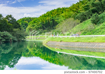 寶山湖群孤挺花 97400702