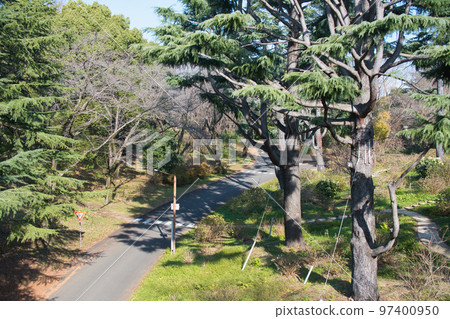 公園風光 97400950