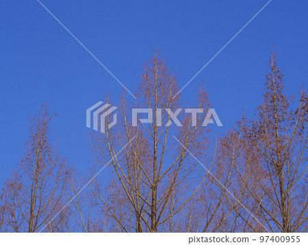 Winter blue sky 97400955