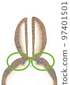 New Year's card rabbit character 2 97401501
