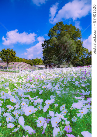 贊岐萬能國家公園宇宙場 贊岐萬能國家公園宇宙場 97401520